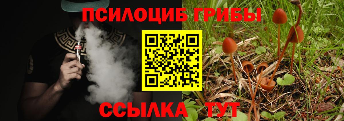 Галлюциногенные грибы Cubensis Нижний Новгород